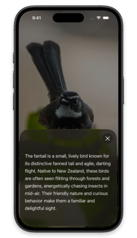 iiPhone showing a SwiftUI sheet with a fantail bird description and a small X close button at the top right corner of the sheet
