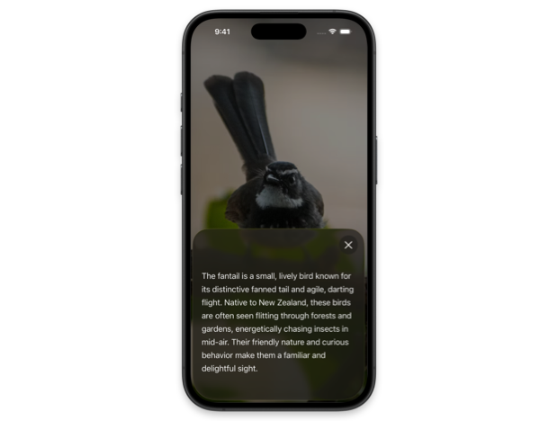iPhone showing a SwiftUI sheet with a fantail bird description and a small X close button at the top right corner of the sheet