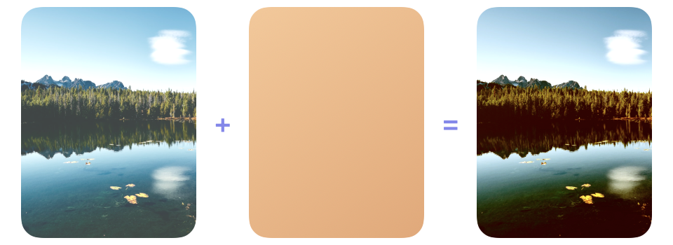 A nature photograph and a warm amber color layer followed by the richer, higher-contrast photograph produced with color burn