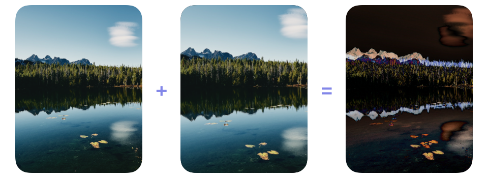 A nature photograph and a copy zoomed within the same frame followed by the bright outlines produced using difference