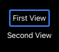 Screenshot showing a focused SwiftUI view.