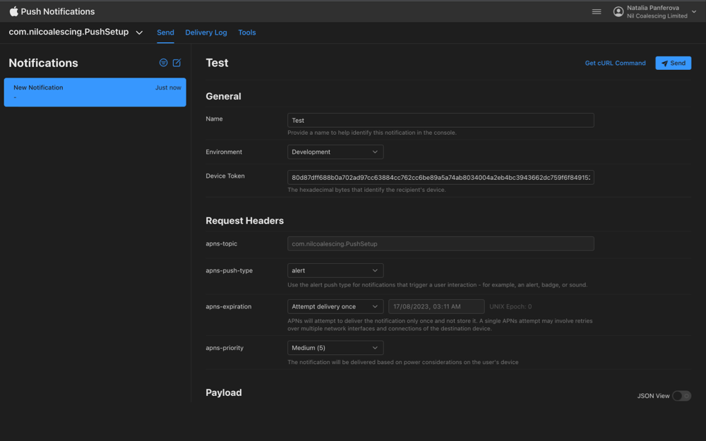 Screenshot of Push Notifications console with the test push