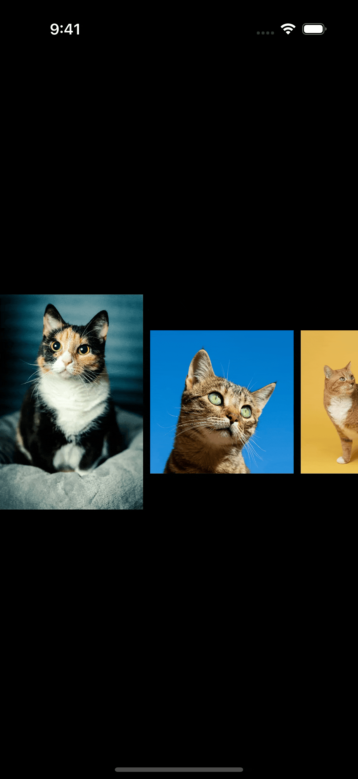 A horizontally scrolling gallery of cat photos with multiple images visible at once