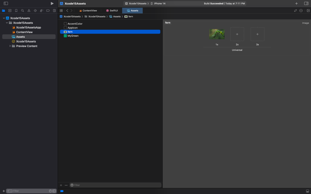 Screenshot of Xcode showing a fern image in asset catalog